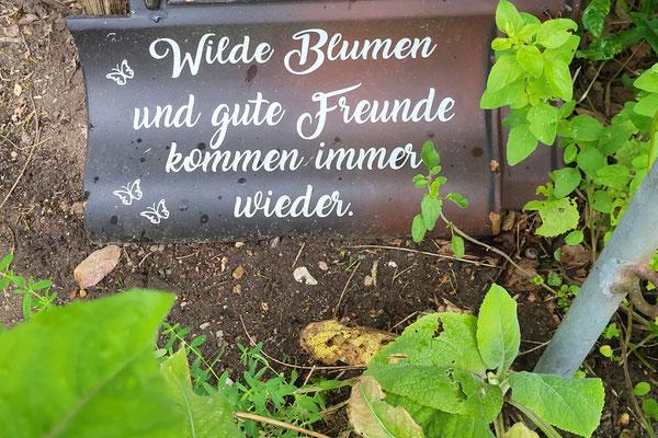 Wilde Blumen und gute Freunde